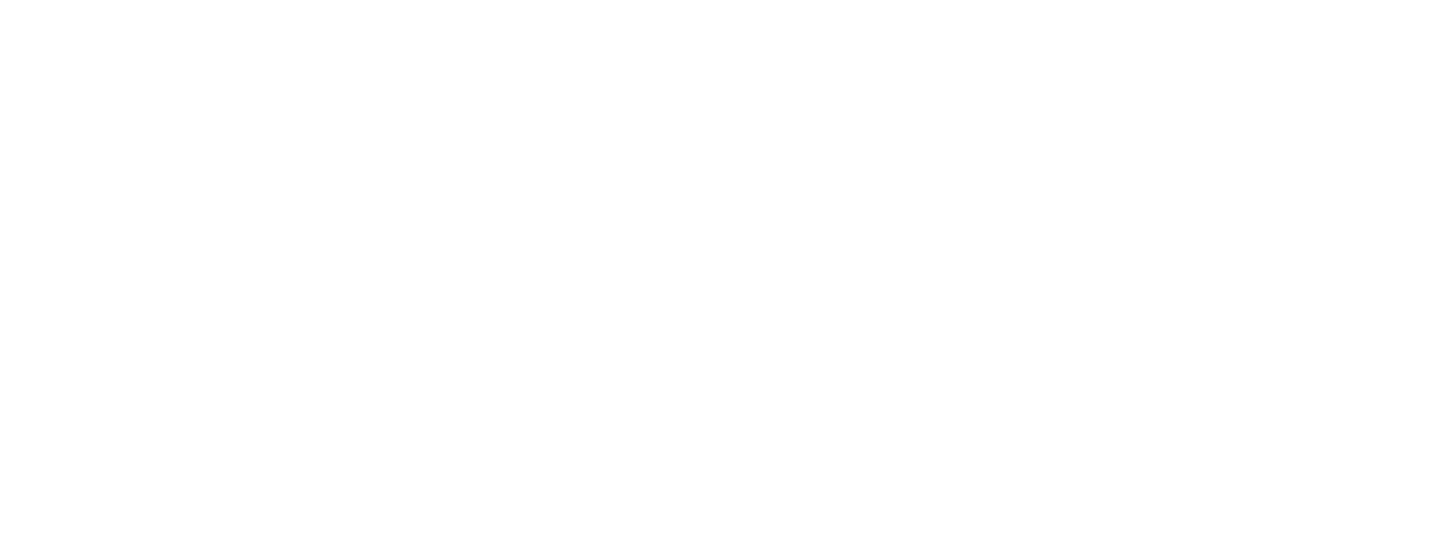 GM Fleet